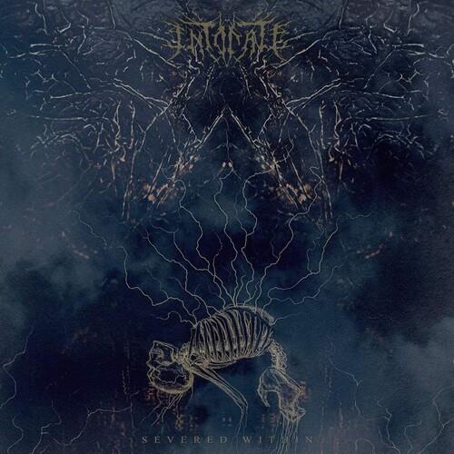 Severed WIthin - Vinyl LP