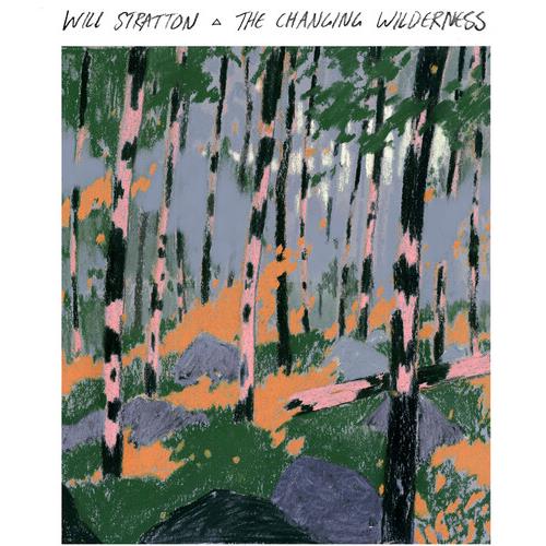 The Changing Wilderness - Vinyl LP