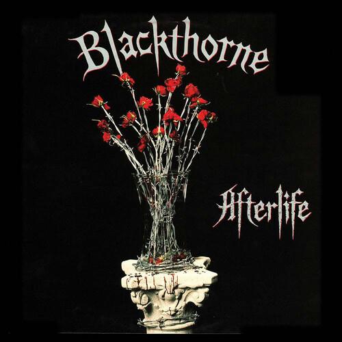 Afterlife - Vinyl LP 180 Gram