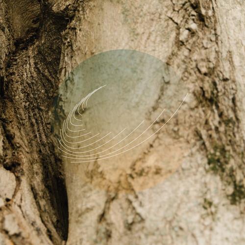 Maples, Ash, and Oaks: Cedars Instrumentals - Vinyl LP