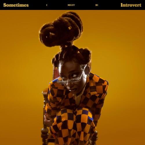 Sometimes I Might Be Introvert - Vinyl LP