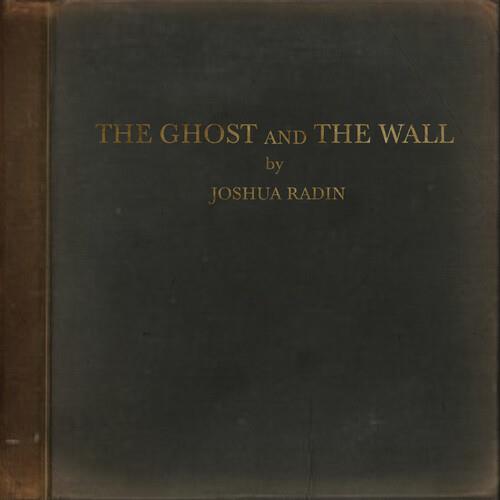 The Ghost And The Wall - Vinyl LP