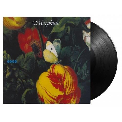 Black vinyl LP record partially removed from a dark floral album cover featuring a butterfly