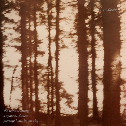 The Wind Is Strong - Marbled Smoke - Vinyl LP