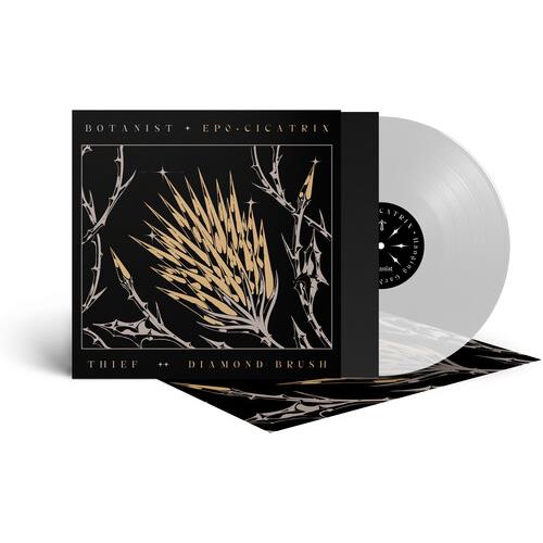 Cicatrix / Diamond Brush (Clear Vinyl) - Limited Edition Vinyl LP
