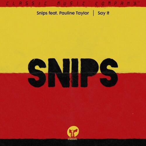 Say It - 12-Inch Single