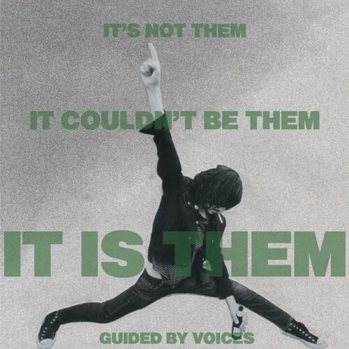 It's Not Them. It Couldn't Be Them. It Is Them! - Vinyl LP