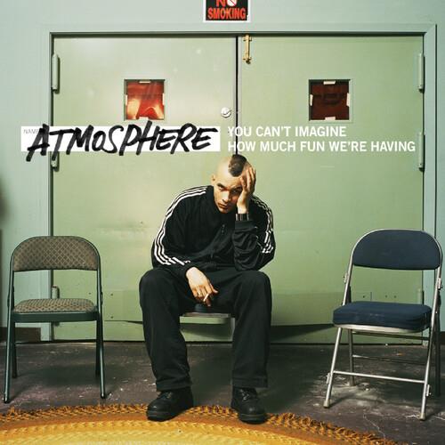 You Can't Imagine How Much Fun We're Having - Vinyl LP