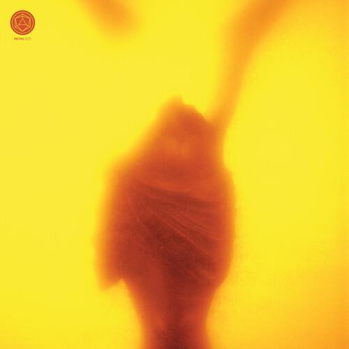 Embracing the Ruins - Vinyl LP
