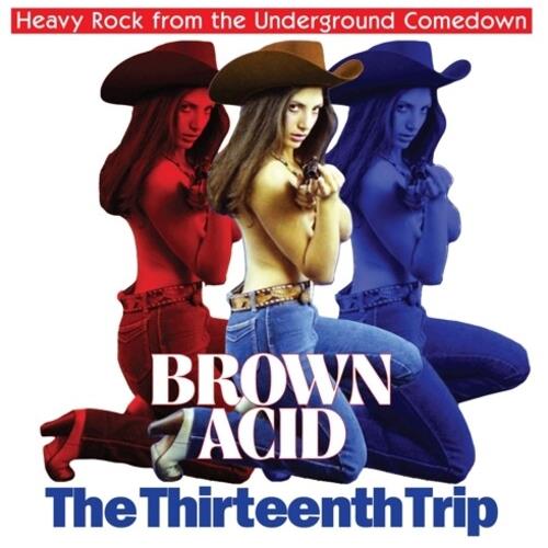 Brown Acid - The Thirteenth Trip (Various Artists) - Vinyl LP