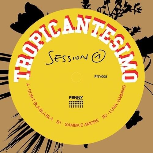 Session 1 - Vinyl LP