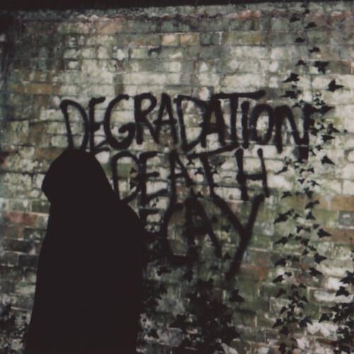 Degradation, Death, Decay - Vinyl LP
