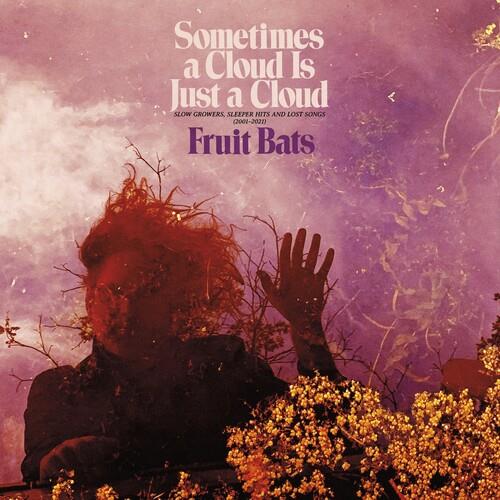 Sometimes a Cloud Is Just a Cloud: Slow Growers, Sleeper Hits and Lost Songs (2001–2021) - Vinyl LP