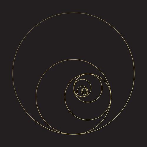 Phanerozoic Live - Vinyl LP (Black)