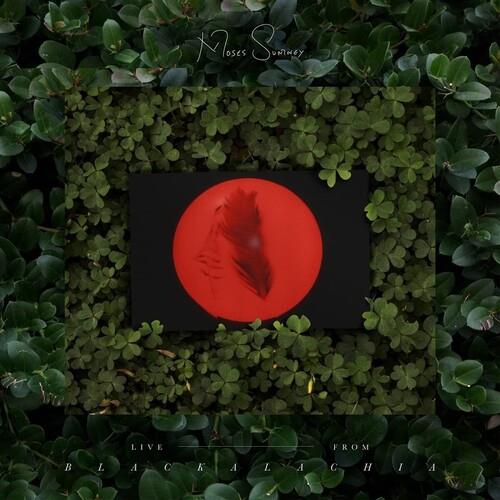 Live From Blackalachia - Vinyl LP