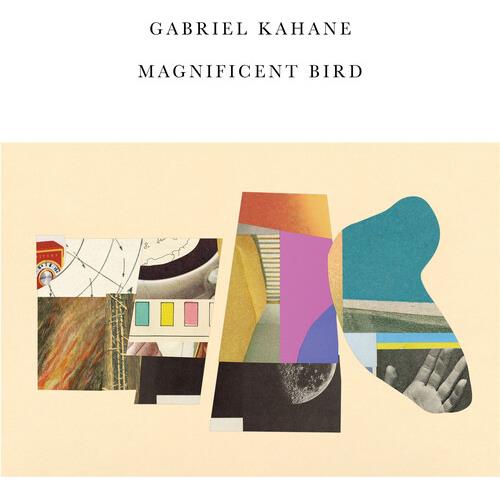 Magnificent Bird - Vinyl LP
