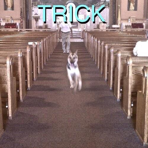 Trick - Deluxe Edition Vinyl LP