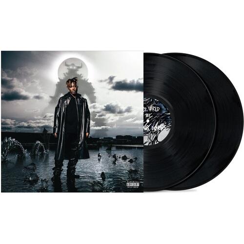 Fighting Demons - Vinyl LP