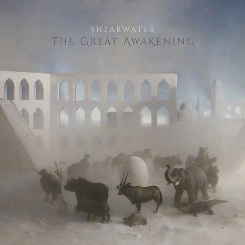 The Great Awakening - Vinyl LP