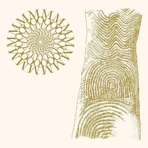 Flowers Rot Bring Me Stones - Vinyl LP (Brown)