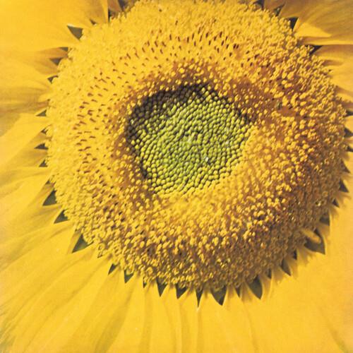 Girassol - 7-Inch Single