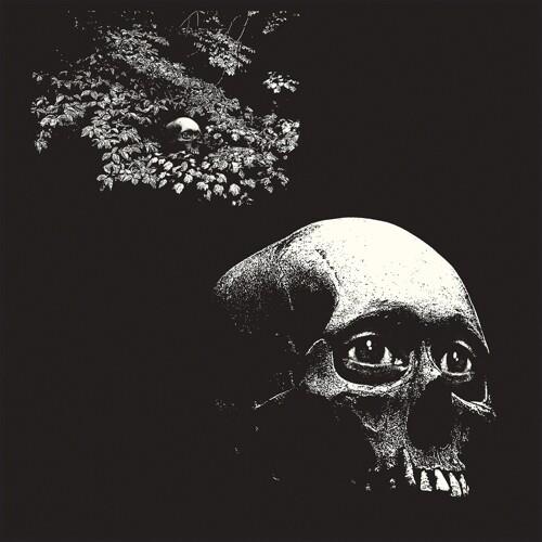 Foul Form - Vinyl LP
