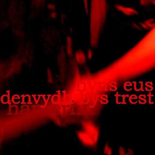 There is No One to Trust (Nyns Eus Denvydth Bys Trest) - Vinyl LP