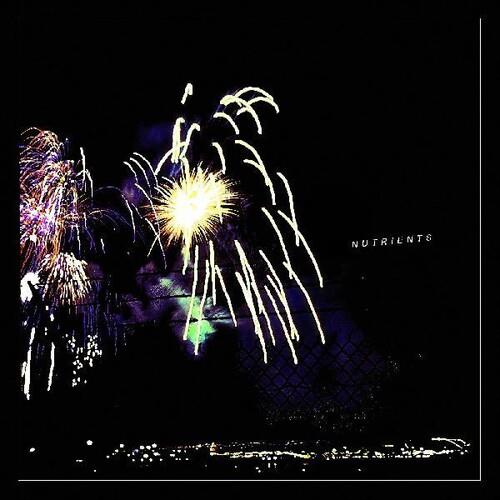 Different Bridges - Vinyl LP