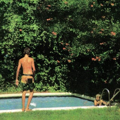 How It Ends - Vinyl LP