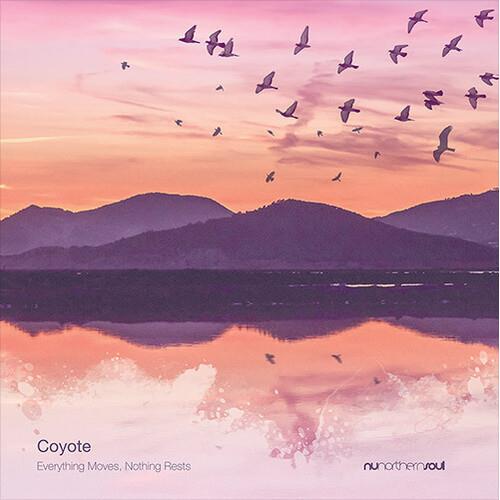 Everything Moves Nothing Rests - Vinyl LP