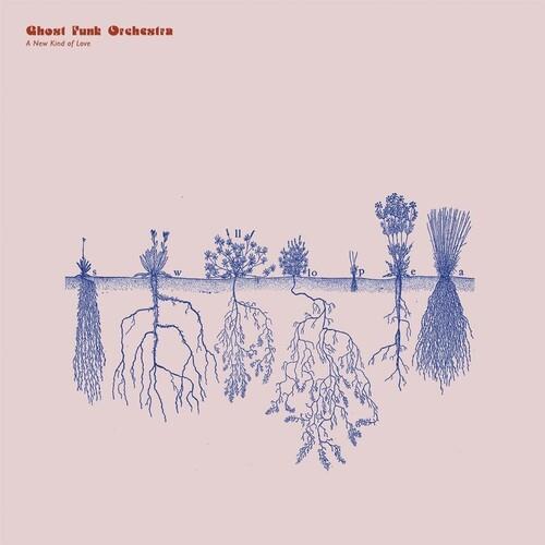 A New Kind of Love - Vinyl LP