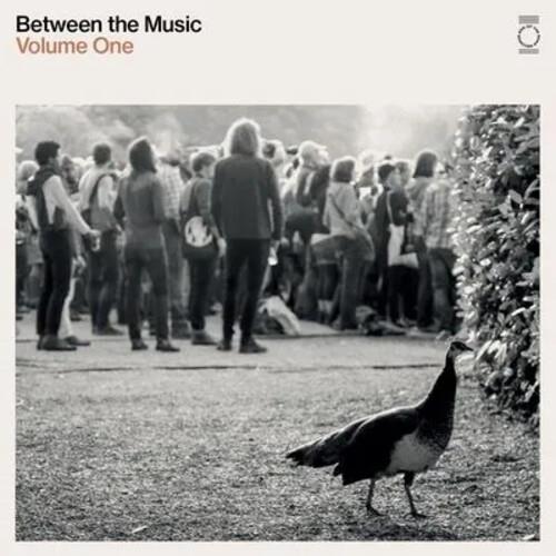 End Of The Road Presents: Between The Music / Various - White Colored Vinyl - Vinyl LP (White)