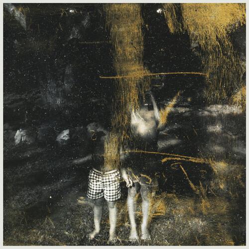 Voids - Vinyl LP