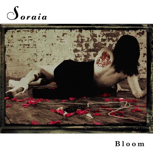 BLOOM - Vinyl LP