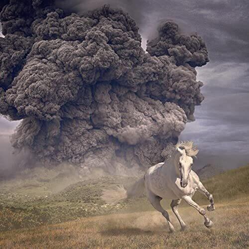 Year Of The Dark Horse - Vinyl LP (Blue)