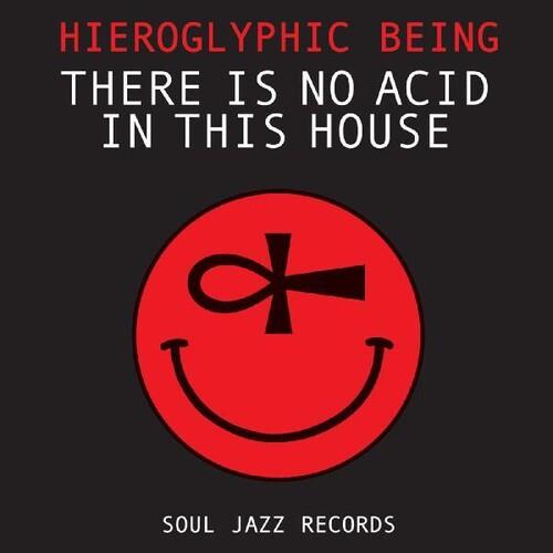 There Is No Acid In This House - Vinyl LP