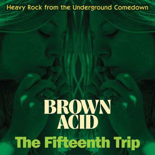 Brown Acid - The Fifteenth Trip (Various Artists) - Vinyl LP