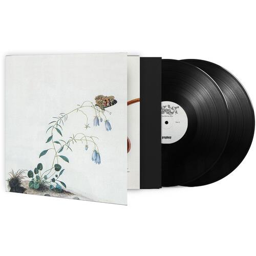 I: The Suicide Tree / II: A Rose From The Dead - Vinyl LP (Black)