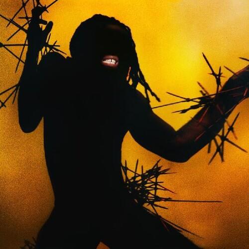 Heavy Heavy - Vinyl LP 140 Gram