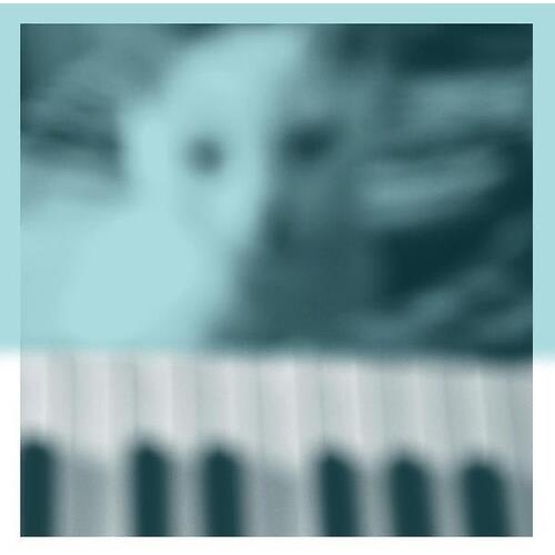 Piano Works Vol. 1 (floating In Tuckers Basement) - Vinyl LP