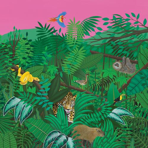 Good Nature - Evergreen - Vinyl LP