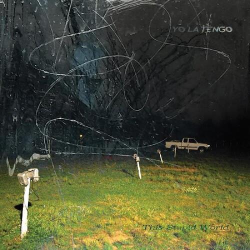 This Stupid World - Vinyl LP