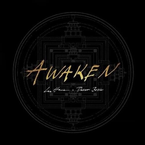 Awaken - Gold - Vinyl LP (Gold)