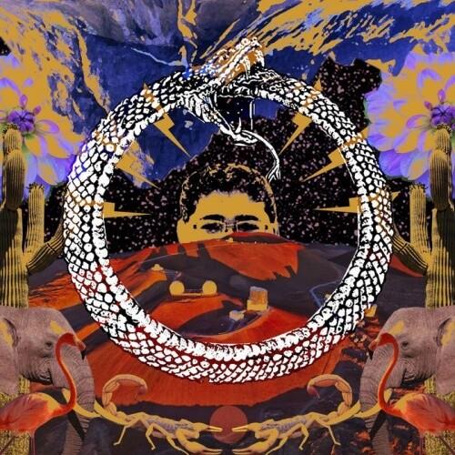 Neverending Cycle - Vinyl LP
