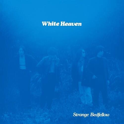 Strange Bedfellow - Vinyl LP