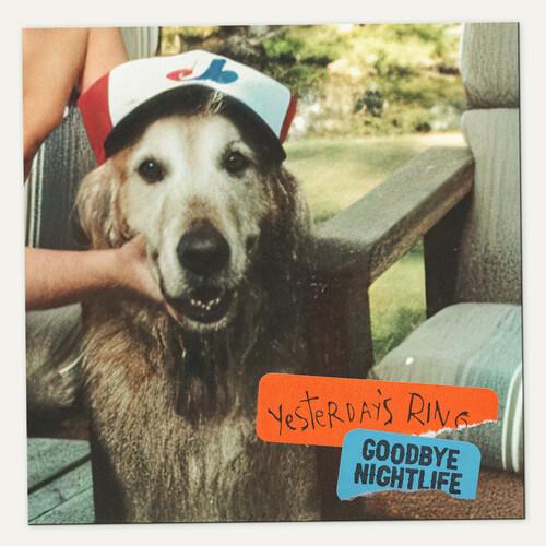 Goodbye Nightlife - Vinyl LP