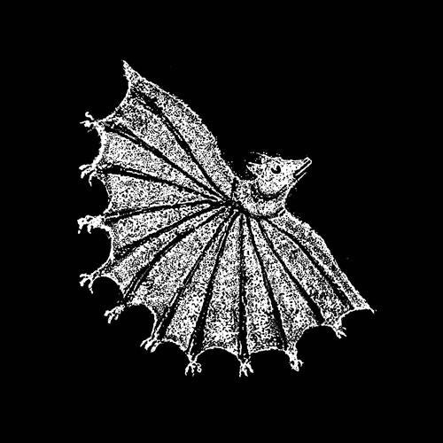 Ignore Grief - Silver Ghost - Vinyl LP
