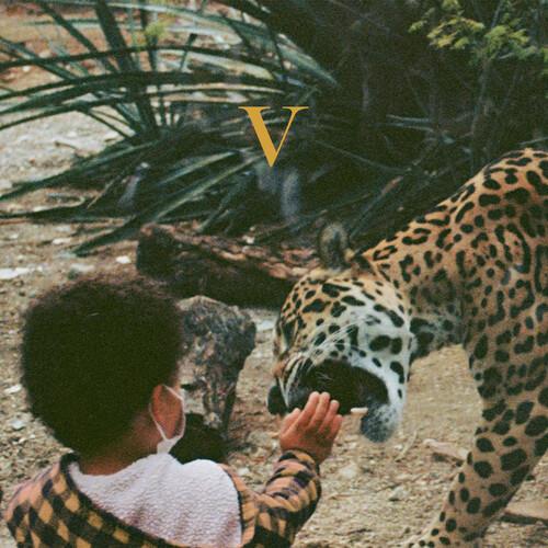 V - Vinyl LP