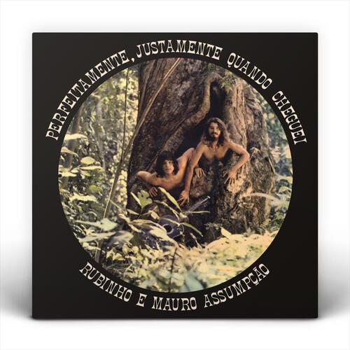 Perfeitamente, Justamente Quando Cheguei - Vinyl LP