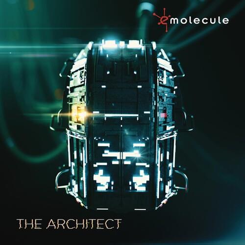 THE ARCHITECT - Vinyl LP